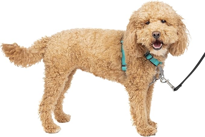 PetSafe 3 in 1 Dog Harness - No Pull Solution for Dogs - Reflective Dog Harness - Front D-Ring Clip Helps Stop Pulling - Comfortable Padded Straps - Top Handle Enhances Control
