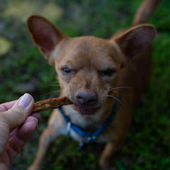 Loving Pets Natural Value Beef Sticks - Soft Jerky Dog Treats for Large & Small Breeds - Healthy Gluten, Wheat, Soy & Grain Free Pet Treats for Dogs
