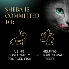 Sheba Perfect Portions Wet Cat Food Pate With Sustainable Salmon, Signature Seafood Entree, and Tender White Fish and Tuna Entree Variety Pack 2.6-oz(Pack of 24)