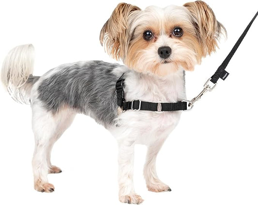 PetSafe Easy Walk No-Pull Dog Harness - The Ultimate Harness to Help Stop Pulling - Take Control & Teach Better Leash Manners - Helps Prevent Pets Pulling on Walks, Petite/Small