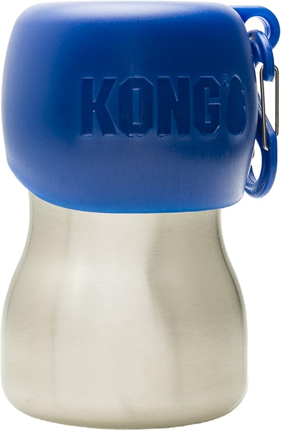 KONG H2O Stainless Steel Water Bottle