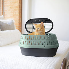 Petmate Dog Crates for Small Dogs & Cat Carriers, One-Door Plastic Pet Kennel, Front Loading, Made in USA