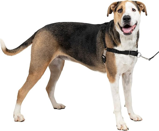 PetSafe Easy Walk No-Pull Dog Harness - The Ultimate Harness to Help Stop Pulling - Take Control & Teach Better Leash Manners - Helps Prevent Pets Pulling on Walks, X-Large