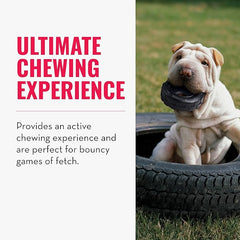 KONG Extreme Tires - KONG's Most Durable Natural Rubber Chew & Fetch Toy - Treat Dispenser Dog Tire Toy - Pet Supplies for Outdoor & Indoor Play