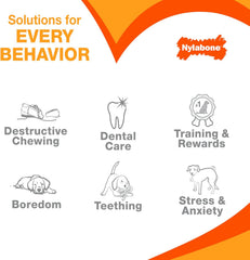 Nylabone Power Chew Classic Bone Chew Toy for Dogs, Durable Dog Toys for Aggressive Chewers, Chicken Flavor