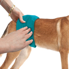 Simple Solution Absorbent Male Wraps with Leak Proof Fit | Excitable Urination, Incontinence,1 Reusable Dog Diaper Per Pack,Whites & Tans