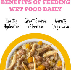Weruva Awesome Belly, Chicken, White Rice, & Pumpkin (Pack of 8)