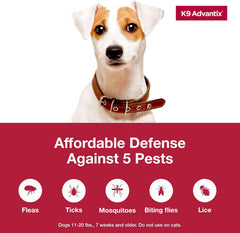 K9 Advantix Flea, Tick & Mosquito Prevention for Dogs | Flea Drops for Small Dogs | Apply Monthly | 2 Treatments