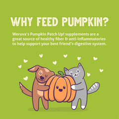Weruva Pumpkin Patch Up! Pumpkin Pouches for Dogs & Cats (Pack of 12)