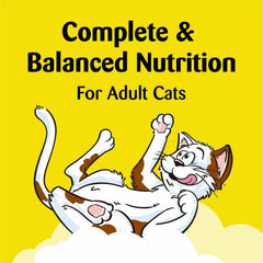 Temptations Chicken and Dairy Flavor Crunchy and Soft Kitten Treats 1ea/3 oz
