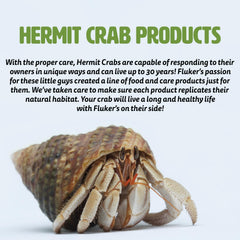 Fluker's Lagoon for Hermit Crabs, Water Bowl with Steps