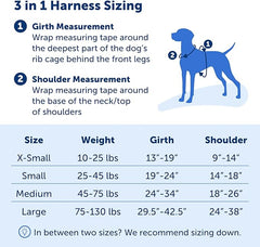 PetSafe 3 in 1 Dog Harness - No Pull Solution for Dogs - Reflective Dog Harness - Front D-Ring Clip Helps Stop Pulling - Comfortable Padded Straps - Top Handle Enhances Control