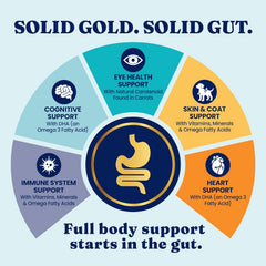 Solid Gold Large Breed Puppy Dog Food Dry Kibble - High Protein Dry Puppy Food for Large Breed Dogs w/Real Bison, Healthy Whole Grain & Probiotics for Gut Health & Digestion - Nutrientboost 22-lb