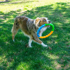 KONG Twistz High-Viz Ring - Durable Fetch and Tug Toy with Highly Visible Colors - Dog Toy