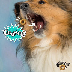 Premium Crunchy Dog Treats - Banana Recipe.