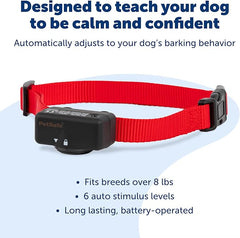 PetSafe Basic Bark Control Collar for Dogs 8 lb. and Up, Anti-Bark Training Device, Breeds, Waterproof, Static Correction, Canine - Automatic Dog Training Collar to Decrease Barking