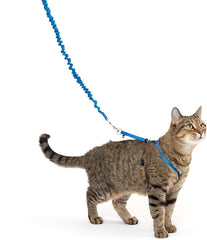 PetSafe Come with Me Kitty Harness and Bungee Leash, Medium