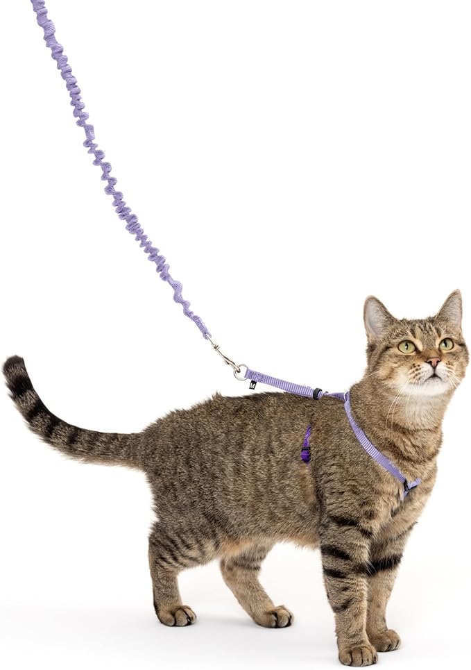 PetSafe Come with Me Kitty Harness and Bungee Leash, Small