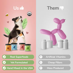 kin+kind Organic Pumpkin Powder for Dogs & Cats for Healthy Poop - Made in USA - Natural Pumpkin Powder Formula w/Flax Seed, Ginger, Turmeric & Coconut - Nutritional Supplement