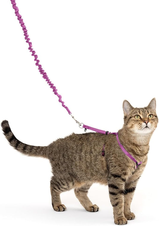 PetSafe Come with Me Kitty Harness and Bungee Leash, Medium