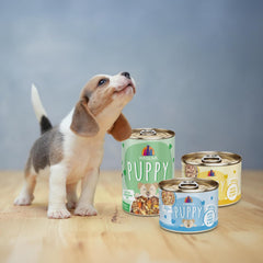 Weruva Puppy, Beef and Rice Formula in Gravy
