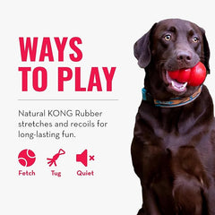 KONG Tug Toy - Dog Supplies for Tug of War - Natural Rubber Dog Toy for Outdoor & Indoor Playtime