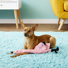 Skinneeez Flamingo - Stuffing-Free Dog Toy with Two Squeakers, Durable Tug Toy for Moderate Chewers, Ideal for Medium and Large Dogs & Puppies