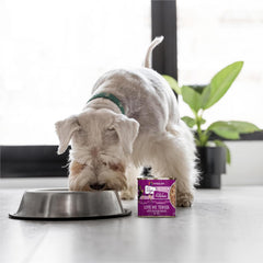 Weruva Dogs in The Kitchen, Love Me Tender with Chicken Breast Au Jus Dog Food 2.8-oz Pouch(Pack of 12)