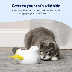 PetSafe Electronic Cat Toys – Automatic Cheese and Peek-A-Bird – Hide and Seek Teaser Toy – Interactive Bird and Mouse Hunt – Play While You are Away