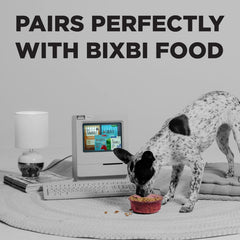 BIXBI Hip & Joint Support Chicken Jerky Dog Treats - USA Made Grain Free Dog Treats - Glucosamine, Chondroitin for Dogs - High in Protein, Antioxidant Rich, Whole Food Nutrition, No Fillers