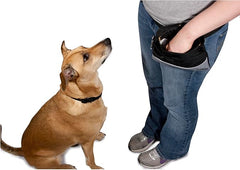 PetSafe Treat Pouch Sport- Durable, Convenient Dog Training Accessory, Standard