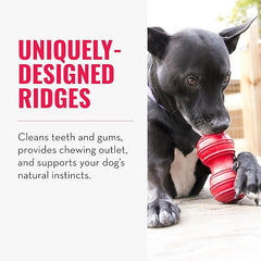 KONG Dental Dog Toy - for Dog Dental Care - Stuffable Chew Toy - Provides Chewing Outlet & Satisfies Instinctual Needs - Cleans Teeth & Gums - Made with Durable Natural Rubber