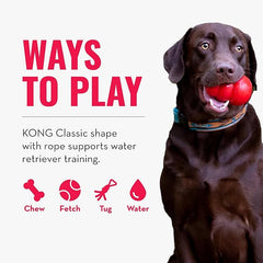 KONG Aqua Floating Fetch Toy - Dog Floating Toy for Water Retrieval, Play, Exercise & More - Natural Rubber Dog Toy with Foam Interior & Rope for Farther Throwing