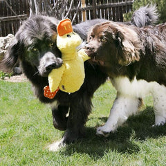 KONG Company 38748523: Comfort Duck Jumbo Dog Toy, for All Breed Sizes