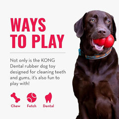 KONG Dental Dog Toy - for Dog Dental Care - Stuffable Chew Toy - Provides Chewing Outlet & Satisfies Instinctual Needs - Cleans Teeth & Gums - Made with Durable Natural Rubber