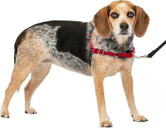 PetSafe Easy Walk No-Pull Dog Harness - The Ultimate Harness to Help Stop Pulling - Take Control & Teach Better Leash Manners - Helps Prevent Pets Pulling on Walks, Small/Medium