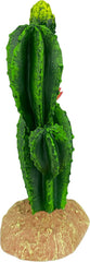 Multi Pet 48593323: Komodo Cactus Plant Flower, 9In