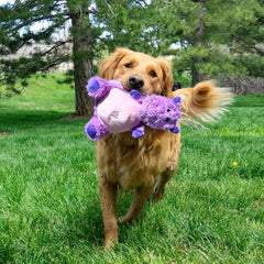 KONG Knots Belly - Soft Plush Exterior with Internal Skeleton Rope Ball and Squeaker (Hippo)