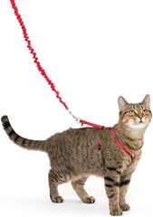 PetSafe Come with Me Kitty Harness and Bungee Leash, Medium