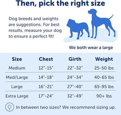 PetSafe Easy Walk No-Pull Dog Harness - The Ultimate Harness to Help Stop Pulling - Take Control & Teach Better Leash Manners - Helps Prevent Pets Pulling on Walks, Large