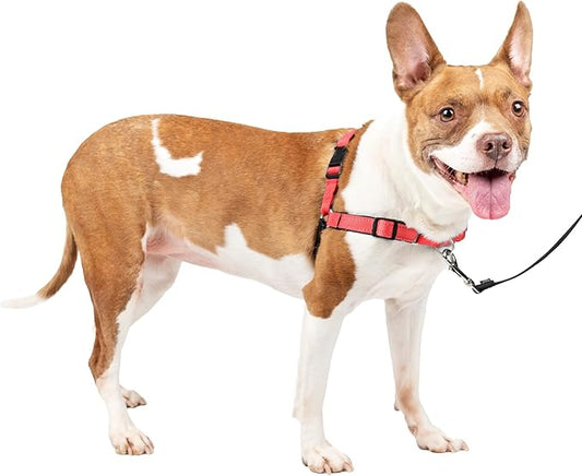 PetSafe Easy Walk Deluxe Dog Harness, No Pull Dog Harness – Perfect for Leash & Harness Training – Stops Pets from Pulling and Choking on Walks – Medium