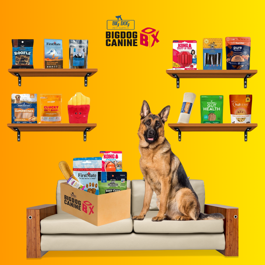 Big Dog Canine Box for Large Dogs – New Surprise of Premium Treats & Toys Every Time You Order