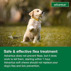 Advantus Dog Advantus Chewable Flea Treatment for Dogs | 7 ct.