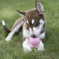 KONG Puppy Easy Treat - Easy-to-Use Pet Treat for Dog Toys - Puppy Supplies to Extend Playtime - Dog Snack Aids Weight Management - Long-Lasting Snack with Mess-Free Nozzle - Puppy Recipe