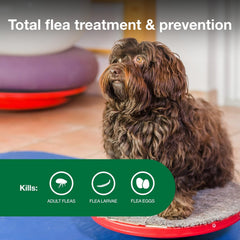 Elanco Advantage II Dog Vet-Recommended Flea Treatment & Prevention | 6-Month Supply
