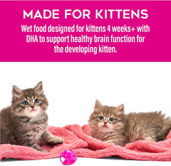 Tiki Cat Baby Pate Wet Cat Food for Kittens, Chicken, Tuna & Chicken Liver