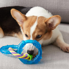 Petstages Rosewood Petstages Orka Triple Links Dog Toy