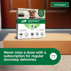 Elanco Advantage II Dog Vet-Recommended Flea Treatment & Prevention | 6-Month Supply