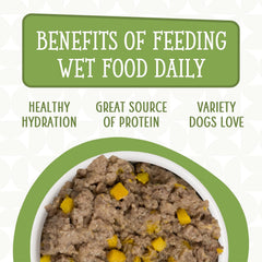 Weruva Dogs in The Kitchen, Lamburgini with Lamb & Pumpkin Au Jus Dog Food (Pack of 12)