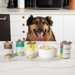 Weruva Classic Dog Food, Jammin' Salmon with Chicken & Salmon in Gravy